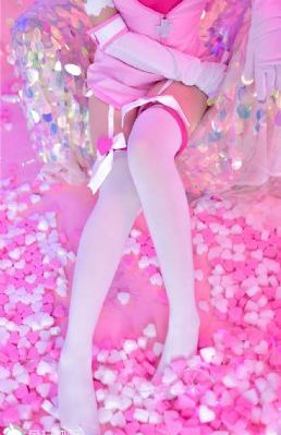 雏菊2